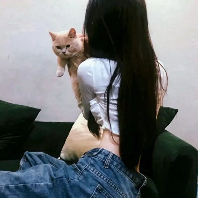 胖小子统治世界